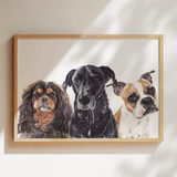 Classic pet portrait
