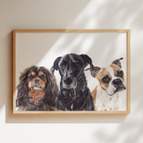 Classic pet portrait