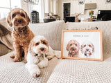 Custom Pet Portrait