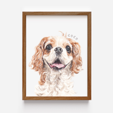 Classic pet portrait