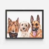 Classic three pet portrait