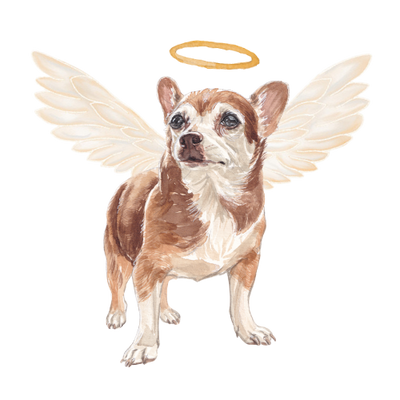 Pet Memorial Portrait