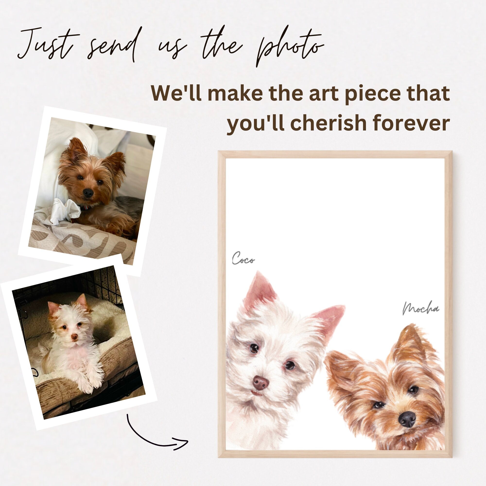 Pet portrait from photo, Custom watercolor cat portrait, Peekaboo Pet portrait, Custom pet portrait, Modern pet painting Gift for pet owner