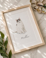 Mini pet portrait