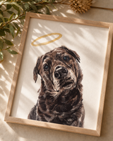 Modern pet portrait