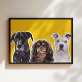 PopColor pet portrait