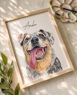 Modern pet portrait