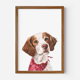 Custom one pet portrait